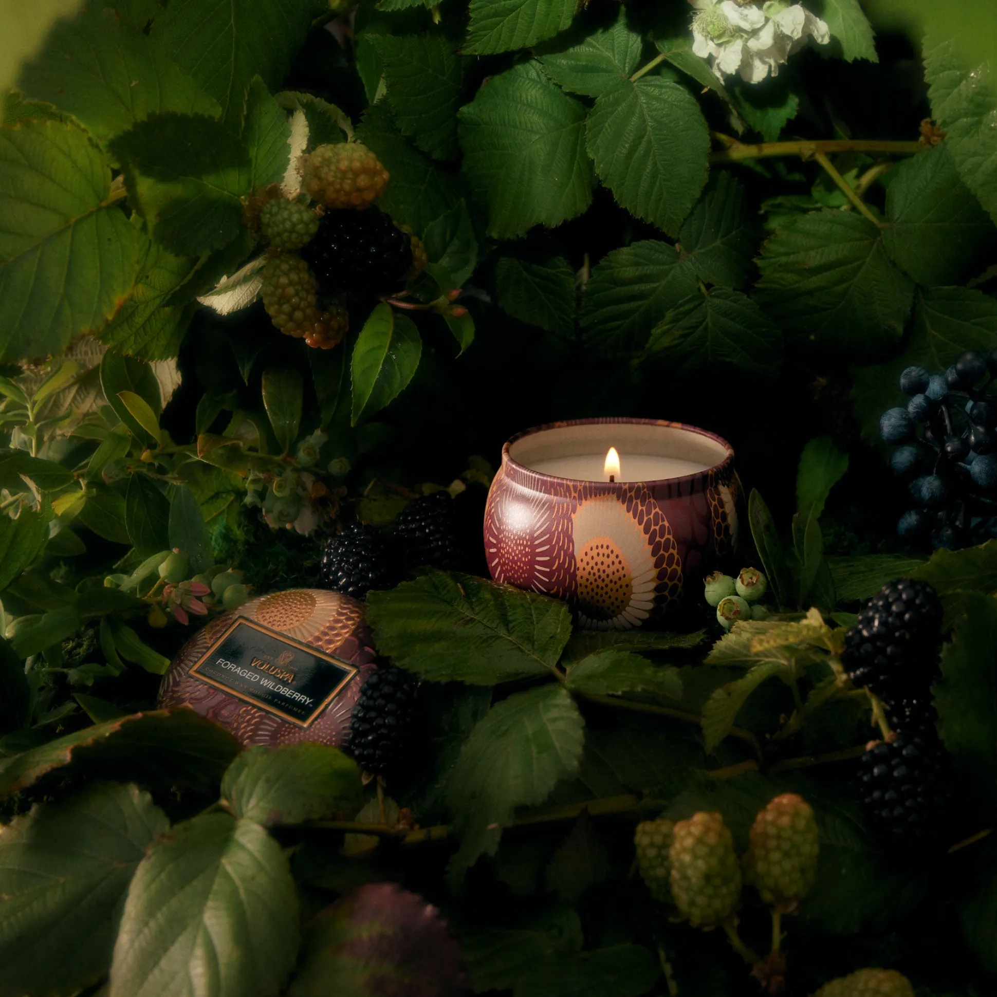 Foraged Wildberry