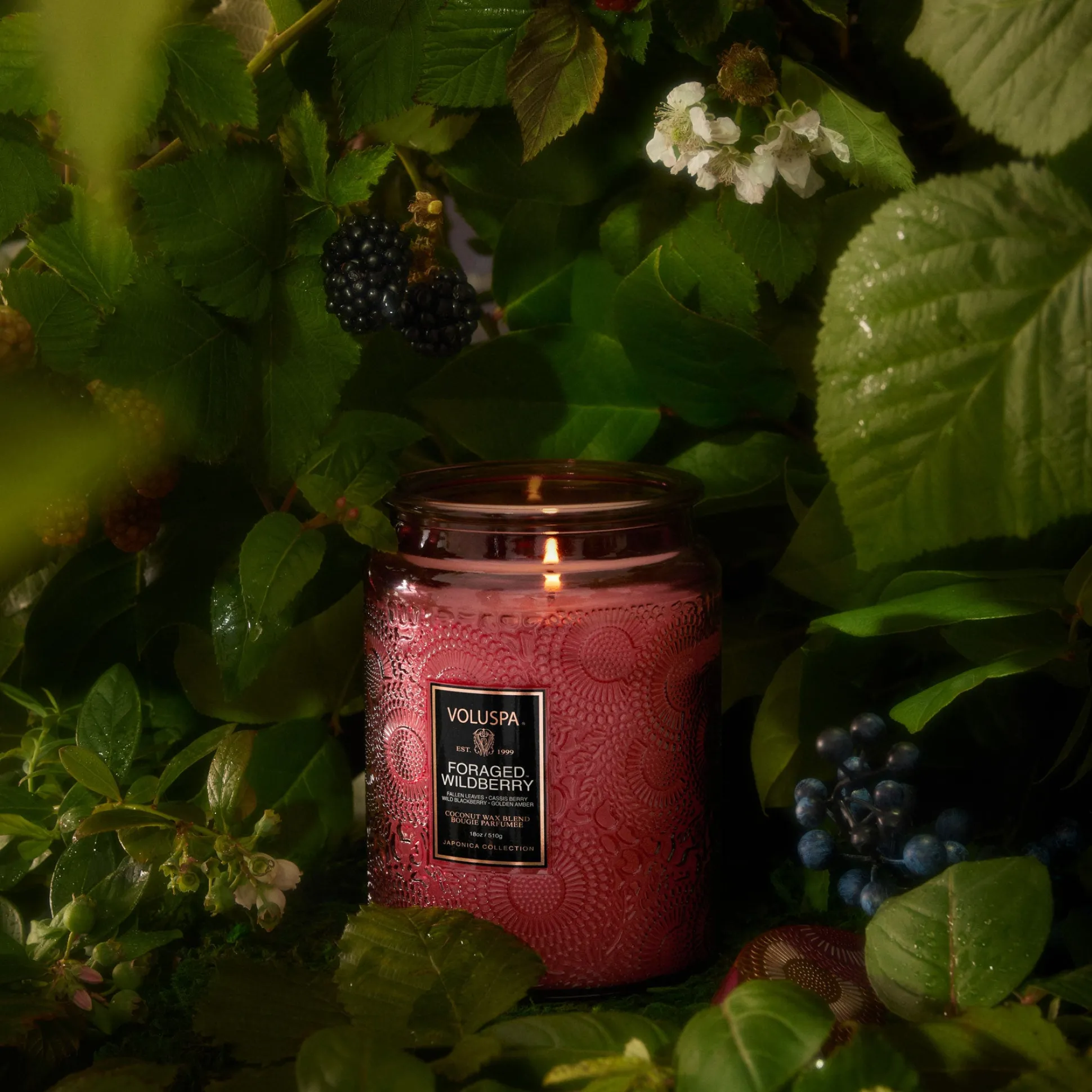 Foraged Wildberry