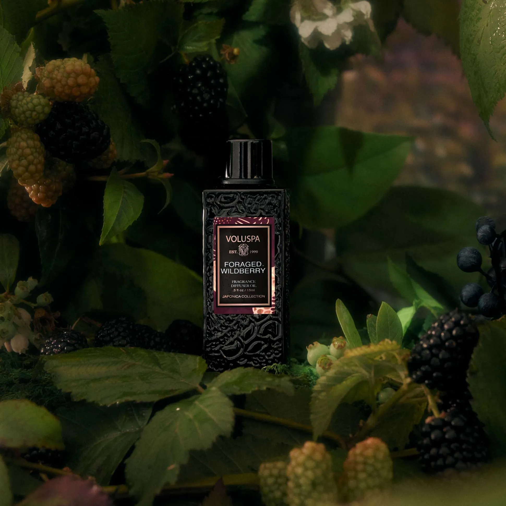 Foraged Wildberry
