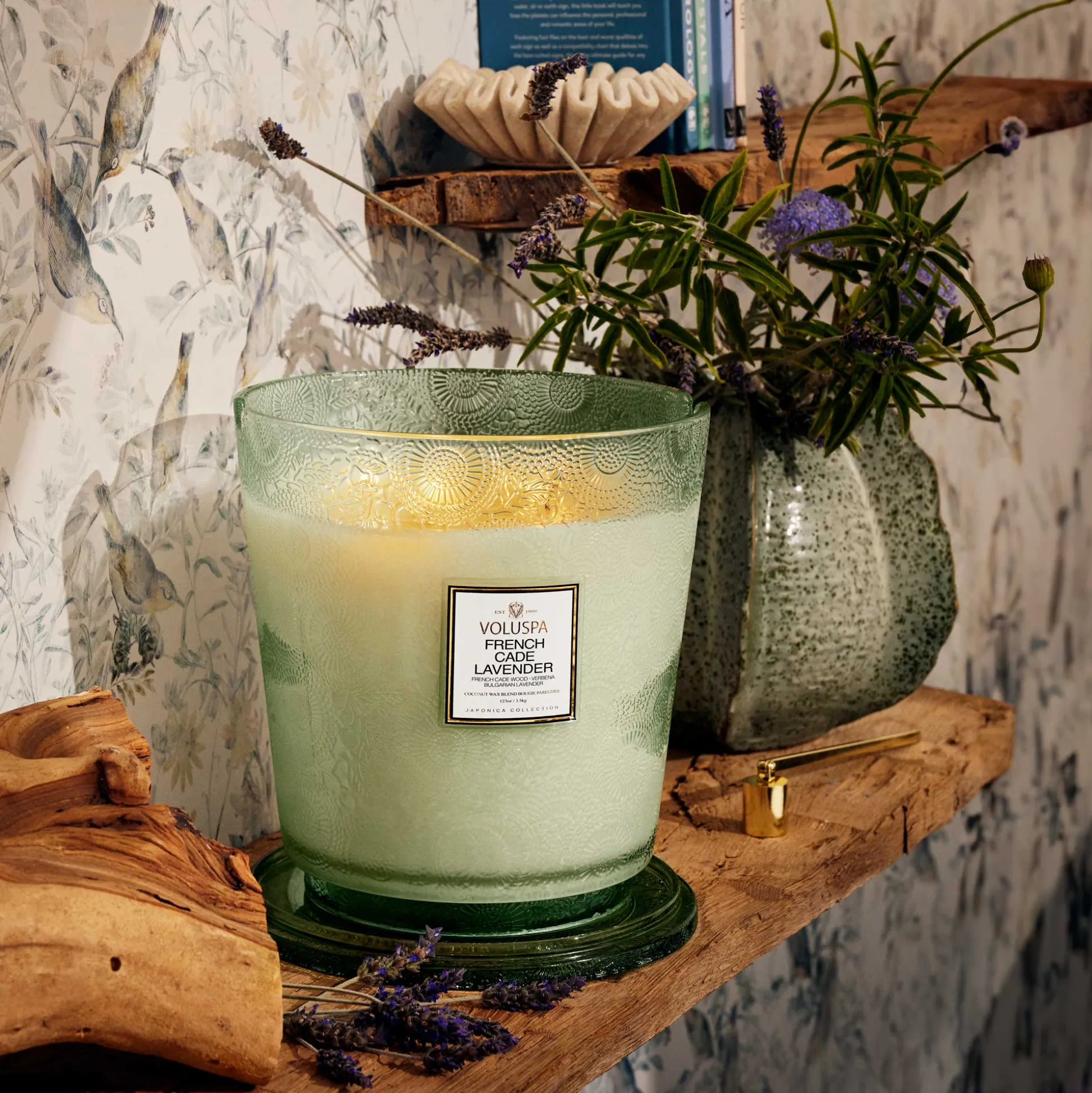 French Cade Lavender