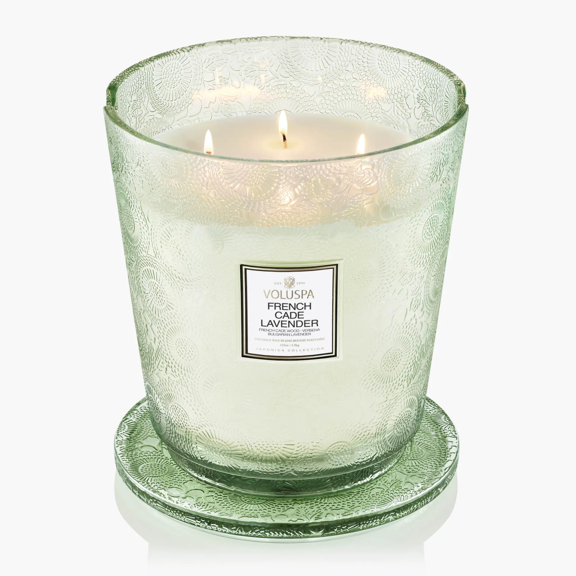 French Cade Lavender