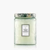 French Cade Lavender