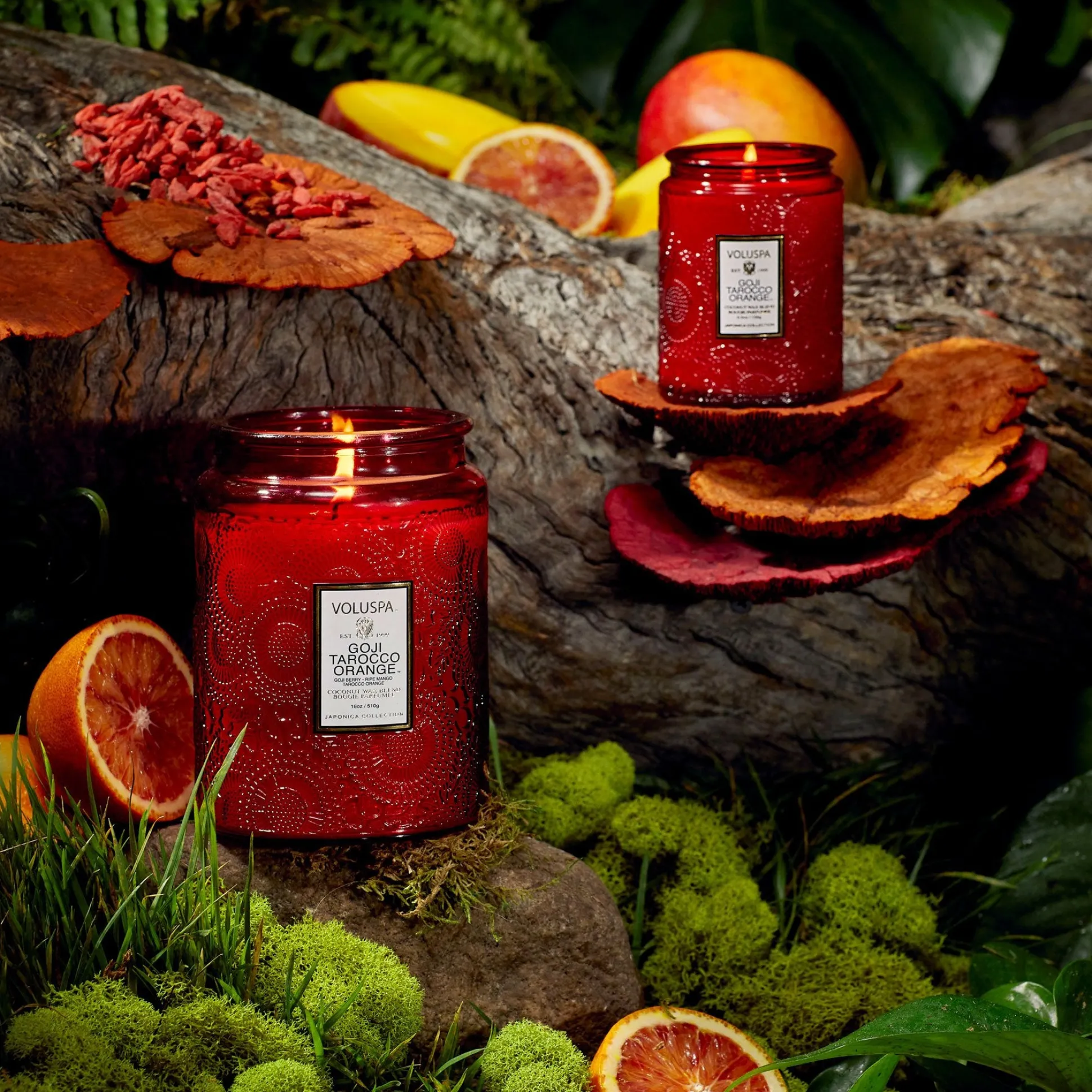 Goji Tarocco Orange