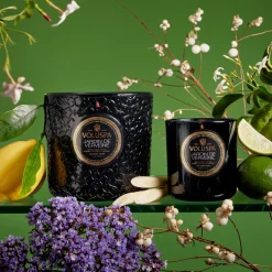Jardin De Verveine
