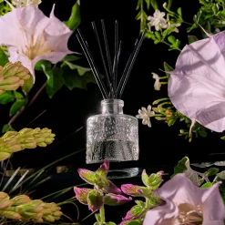 Jasmine Midnight Blooms