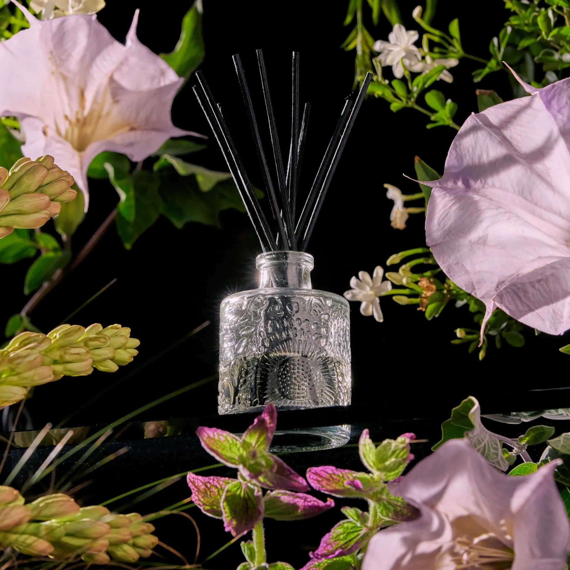 Jasmine Midnight Blooms