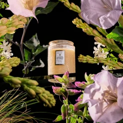 Jasmine Midnight Blooms