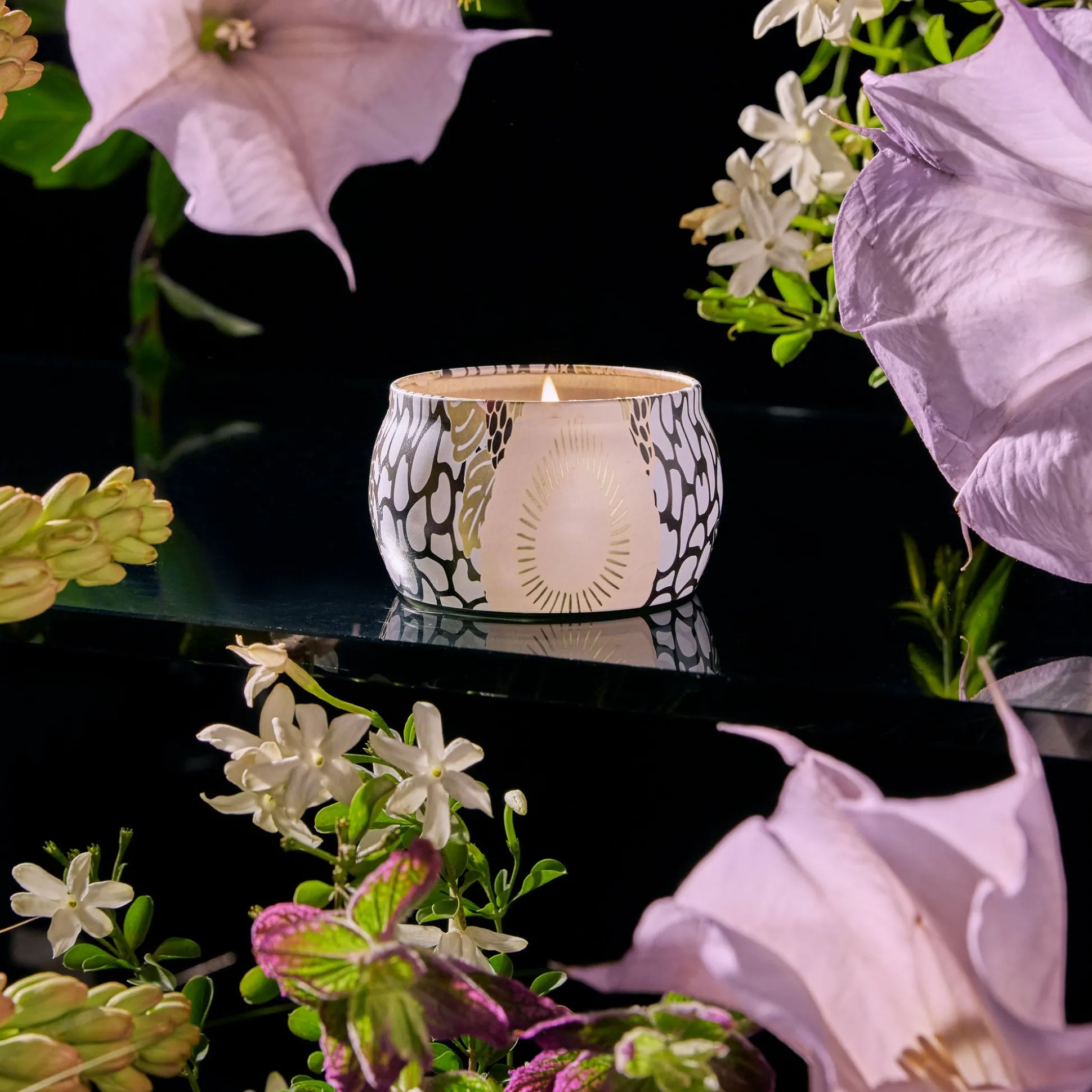Jasmine Midnight Blooms
