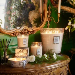 Jasmine Midnight Blooms