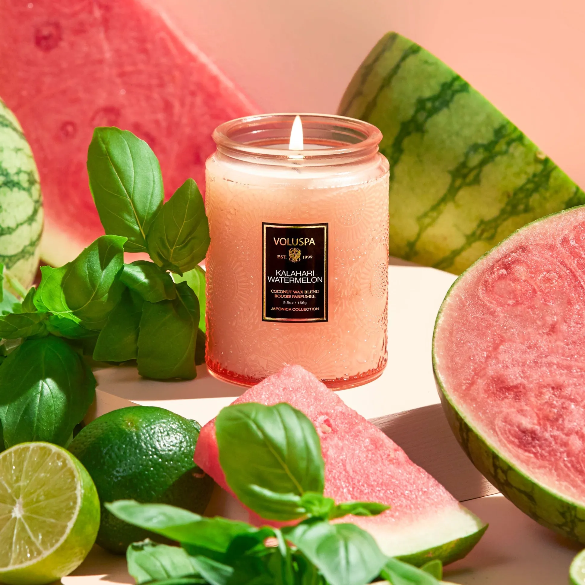 Kalahari Watermelon