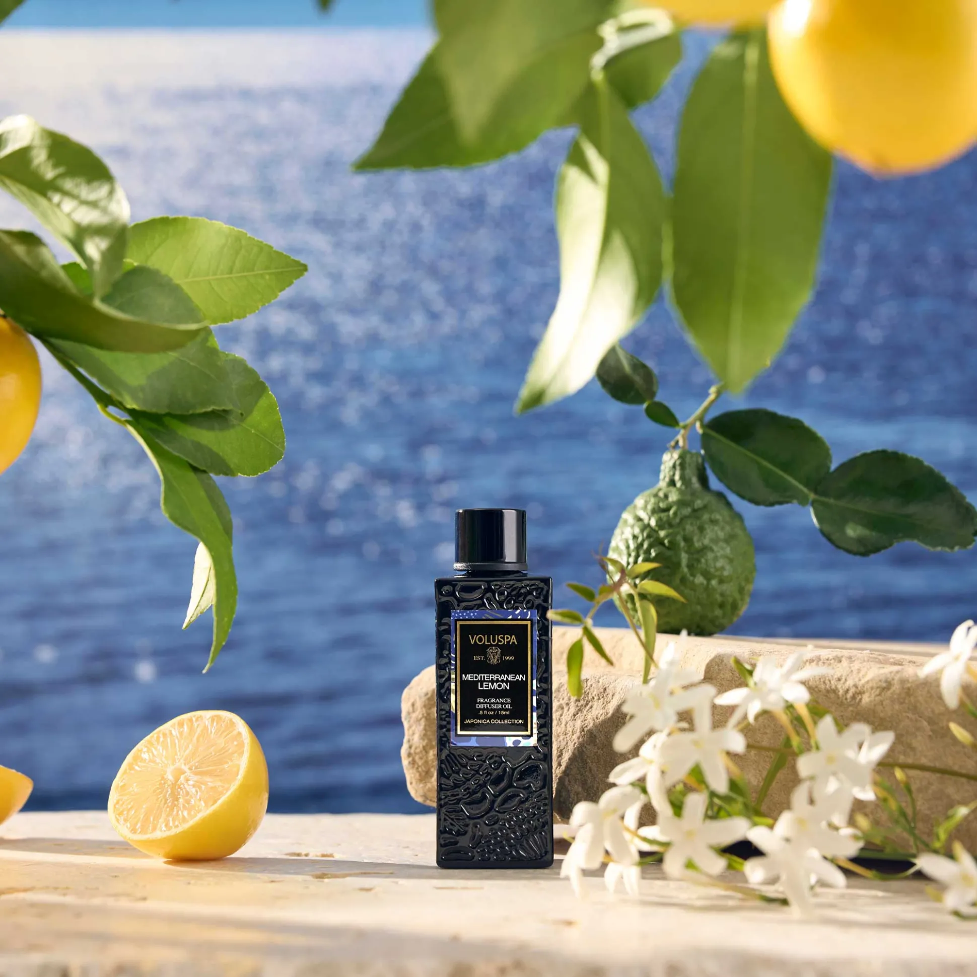 Mediterranean Lemon