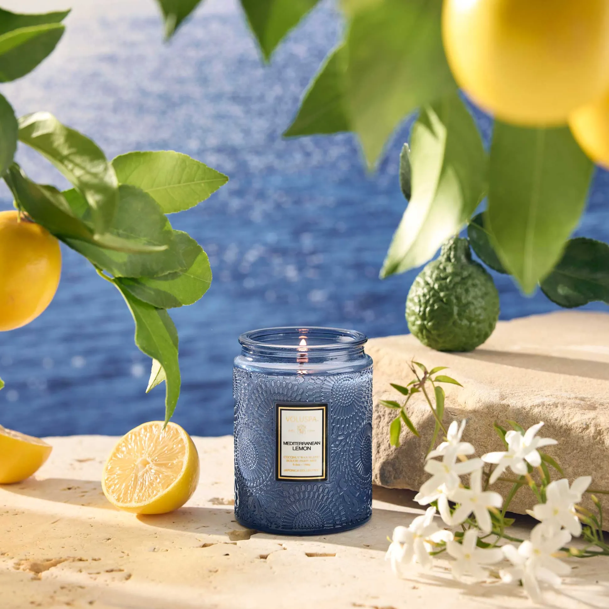 Mediterranean Lemon