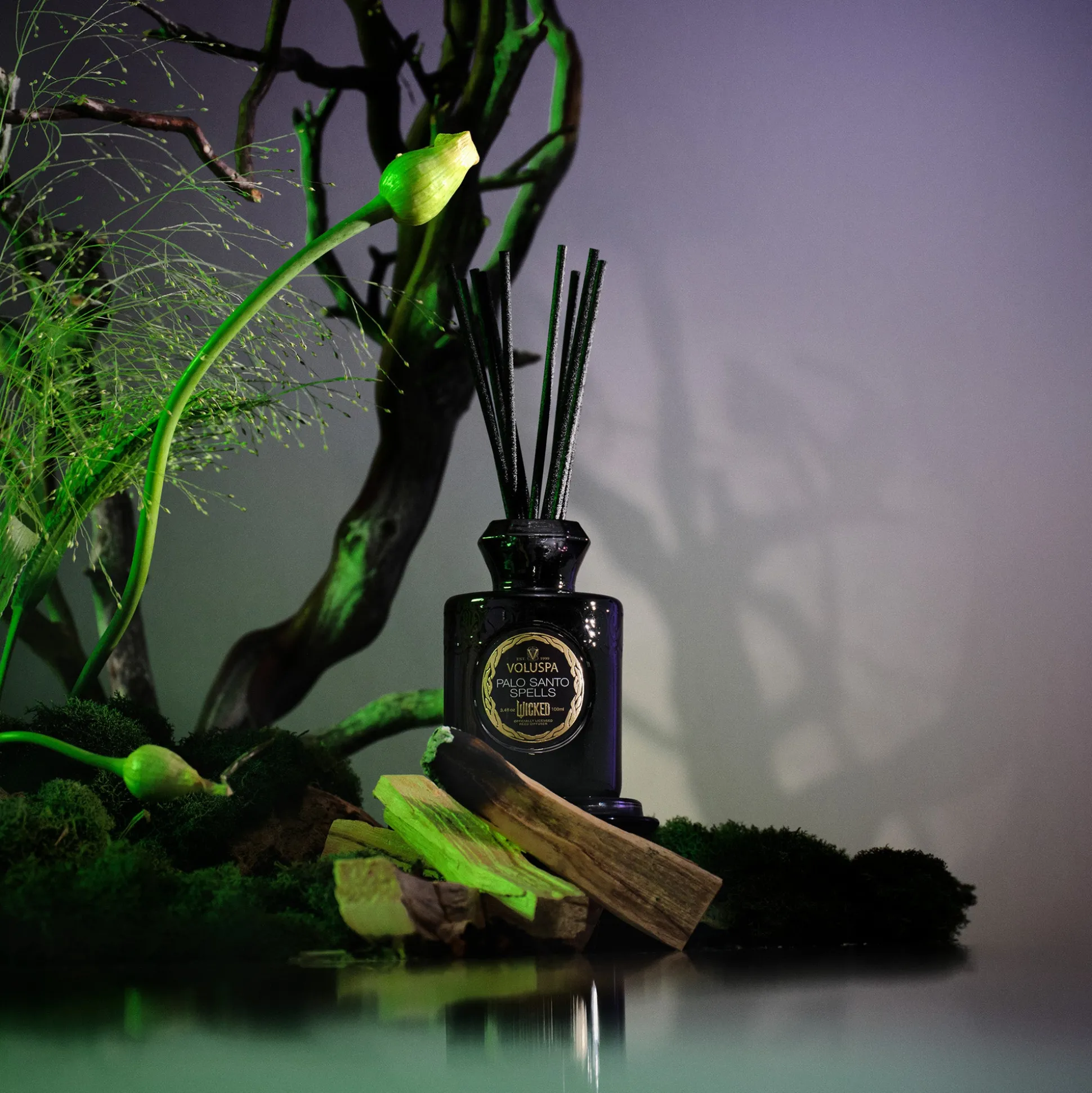 Palo Santo Spells