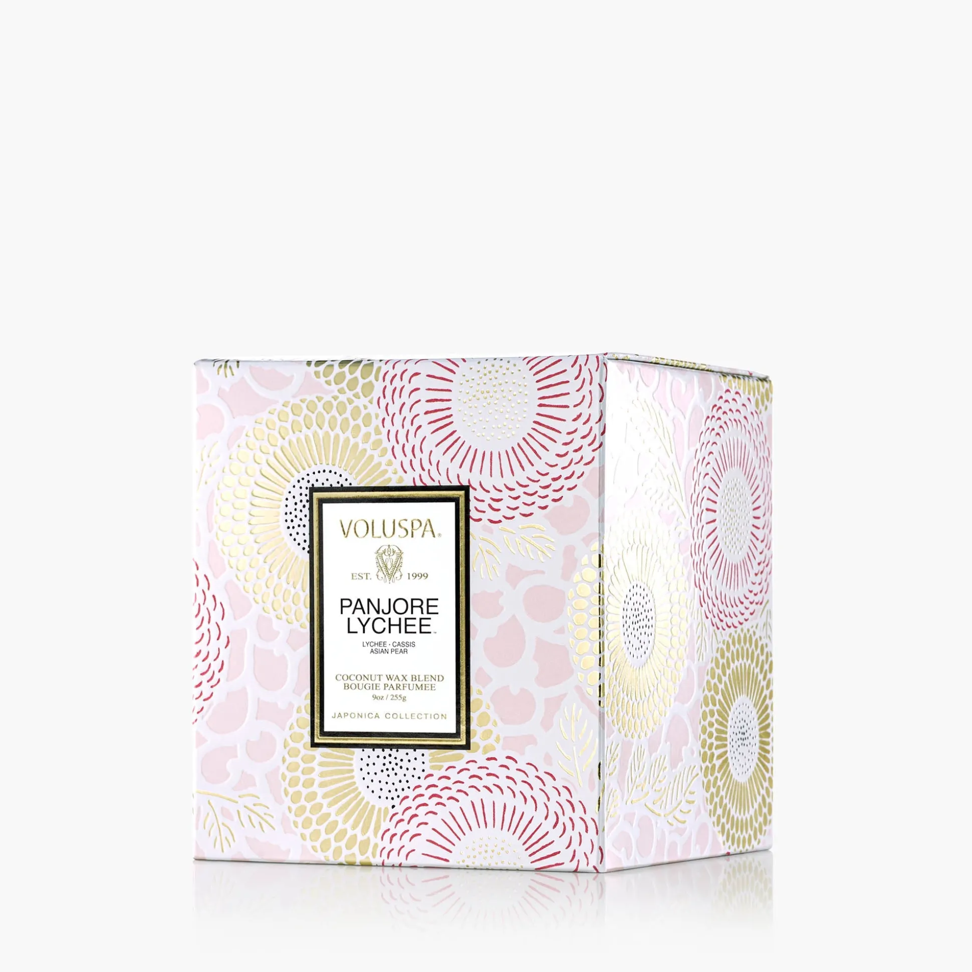 Panjore Lychee