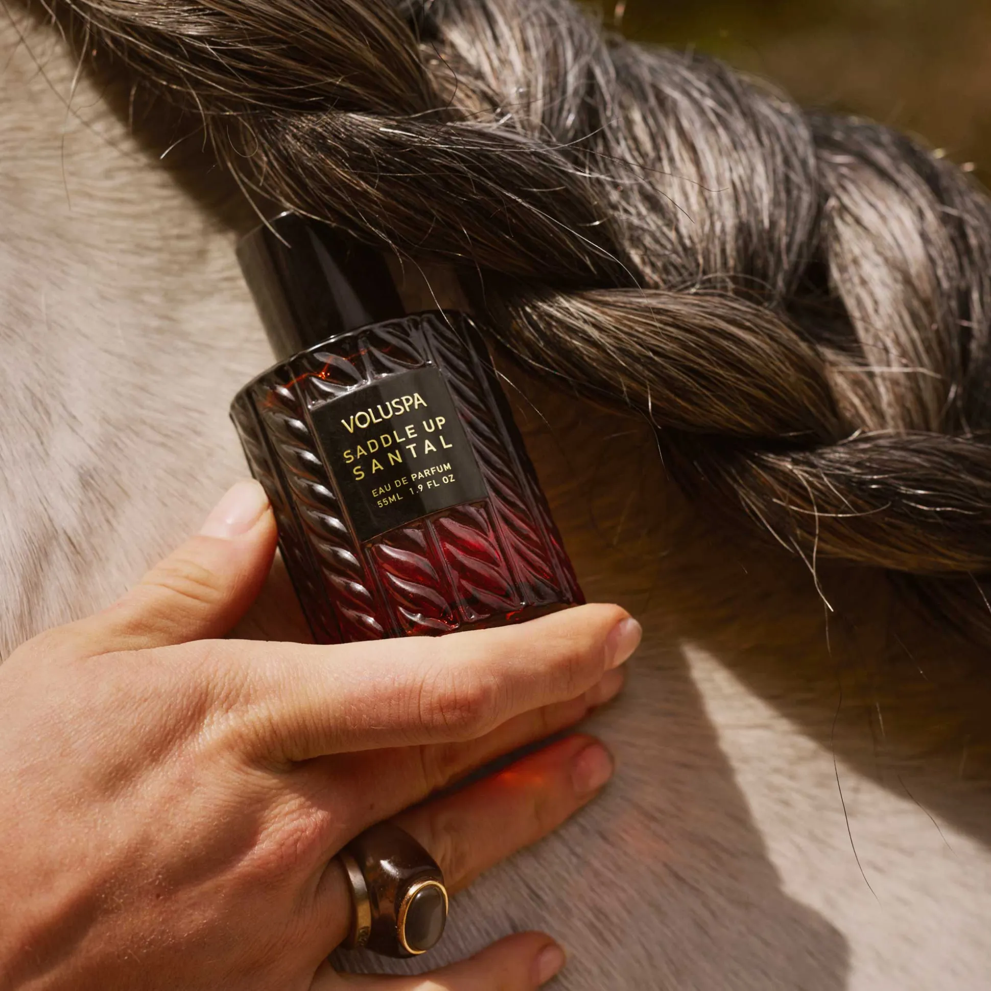 Saddle Up Santal