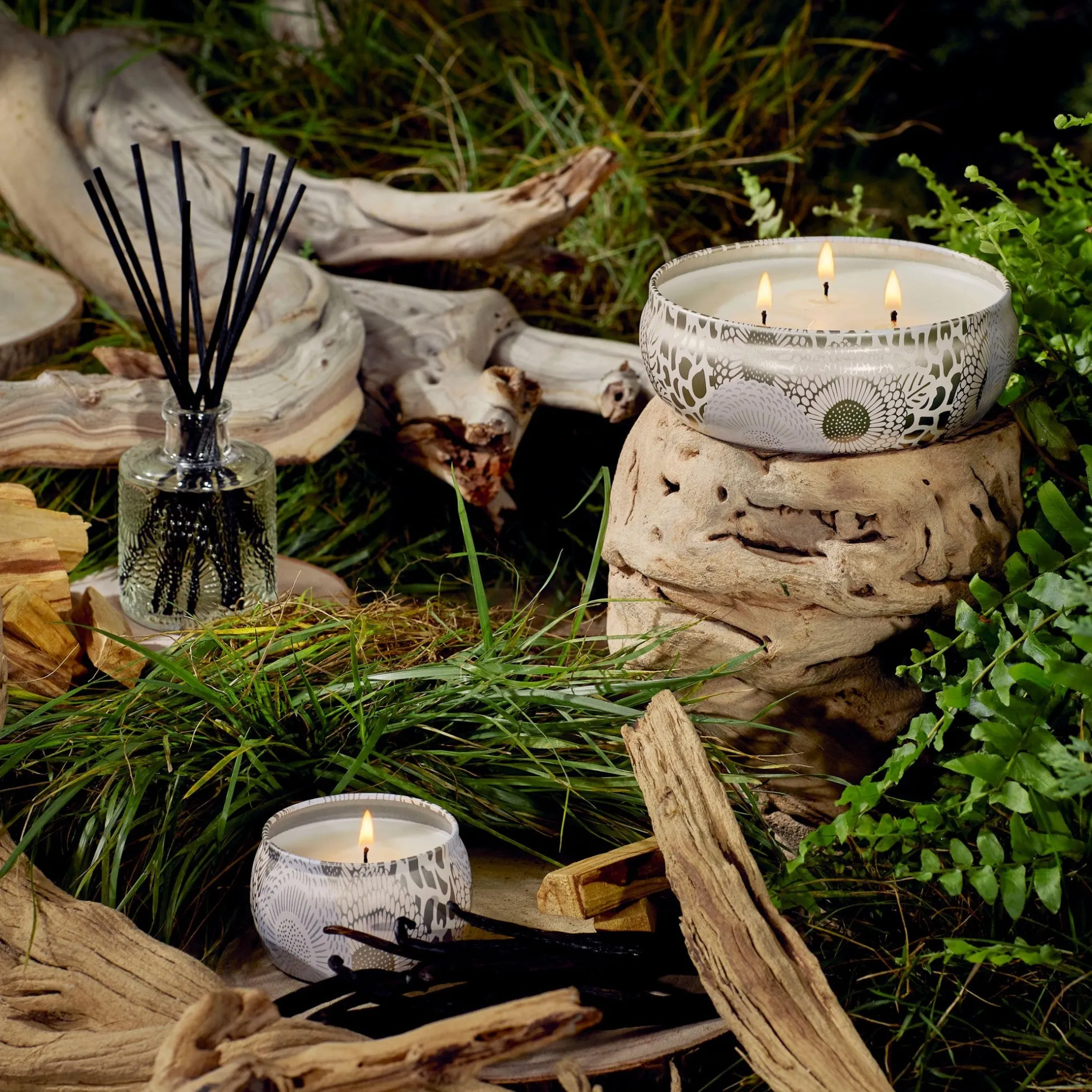 Santal Vanille
