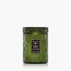 Temple Moss